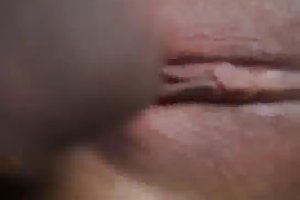 Isot tissit poikaset